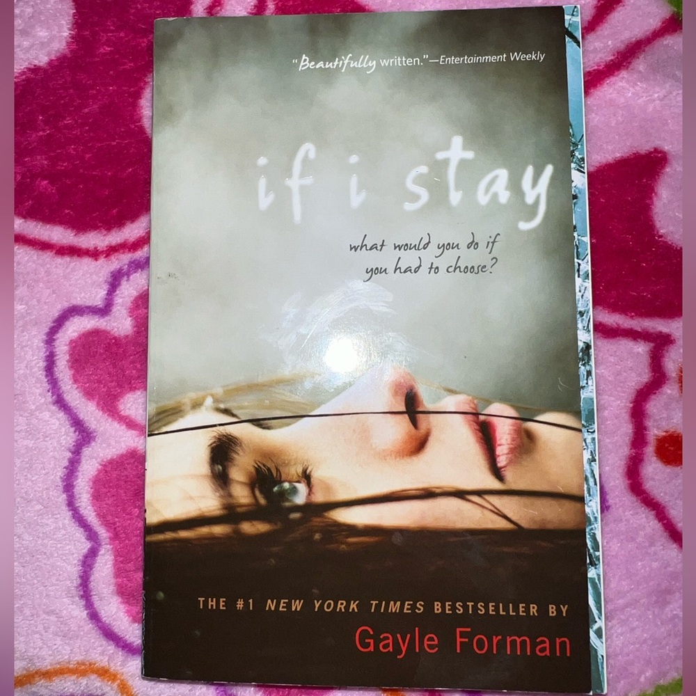 if i stay book